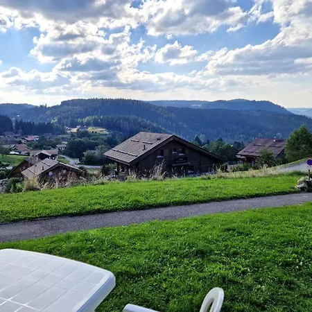 דירה Avec Vue Sur Le De Gerardmer, Proche Des Pistes De *