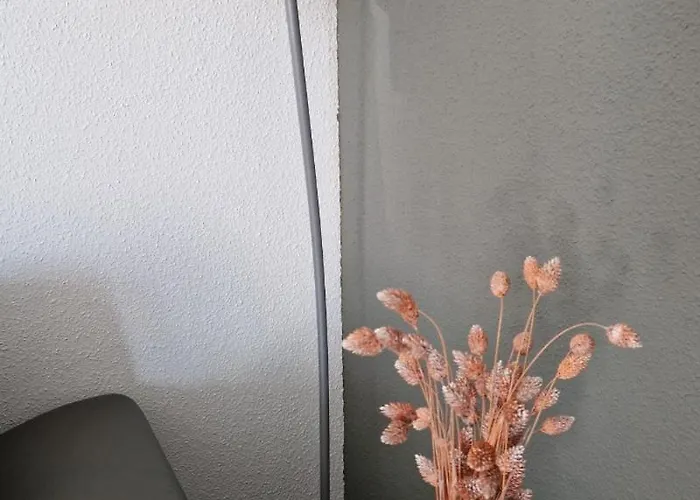 Avec Vue Sur Le De Gerardmer, Proche Des Pistes De *